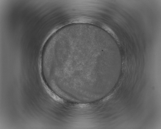 X0000070181130200606091500