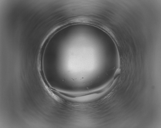 X0000070181131200606091500