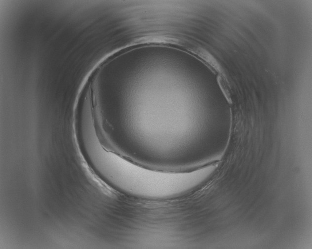 X0000070181132200606091500