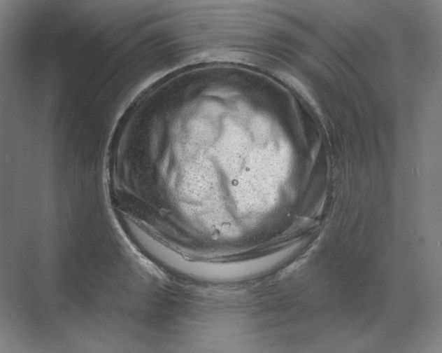 X0000070181133200606091500