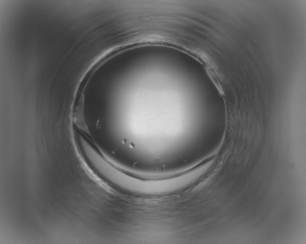 X0000070181134200606091500