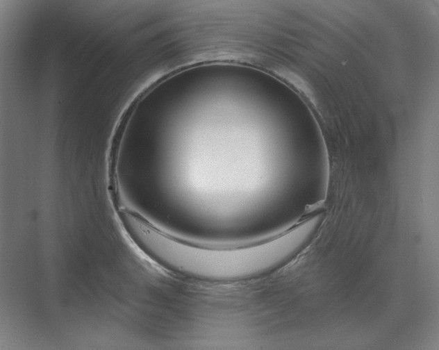 X0000070181135200606091500