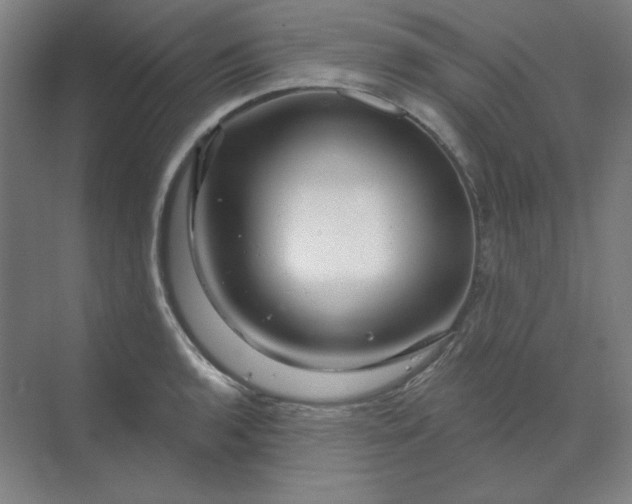 X0000070181136200606091500