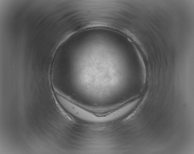 X0000070181137200606091500