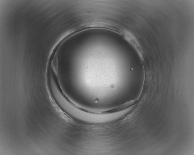 X0000070181138200606091500