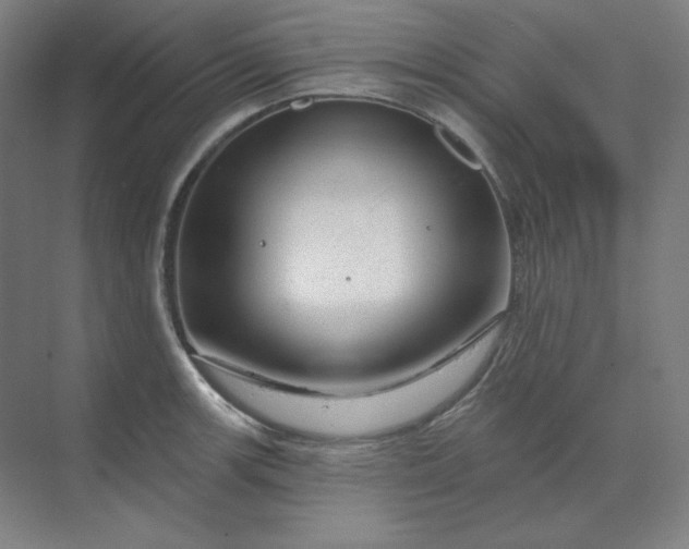 X0000070181139200606091500