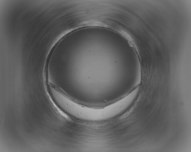 X0000070181141200606091500