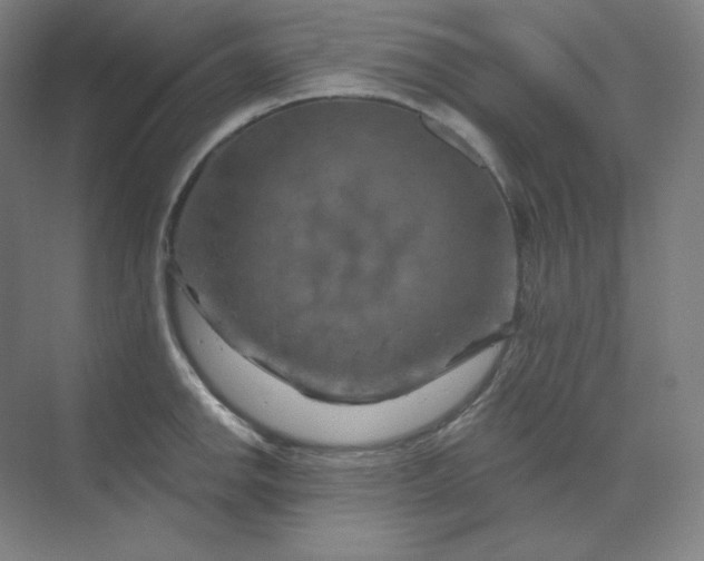 X0000070181142200606091500