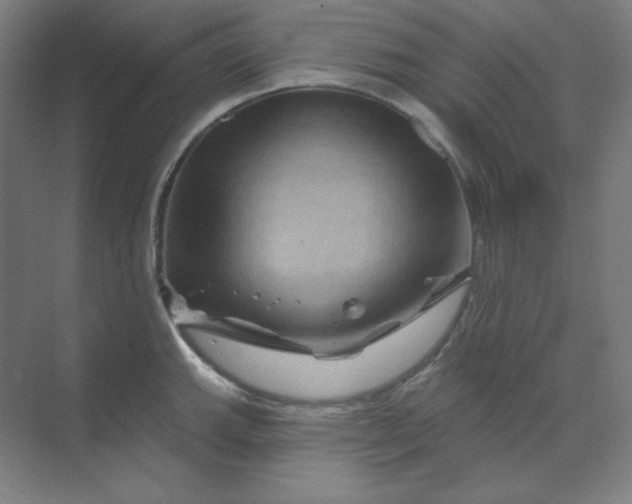 X0000070181143200606091500