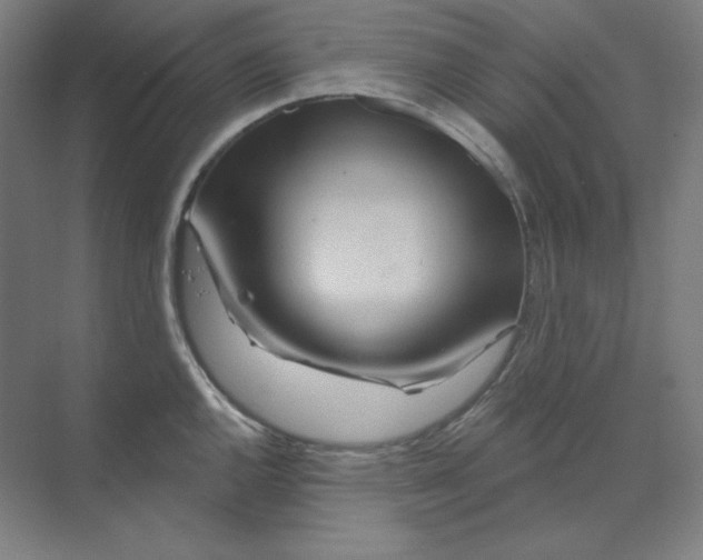 X0000070181144200606091500