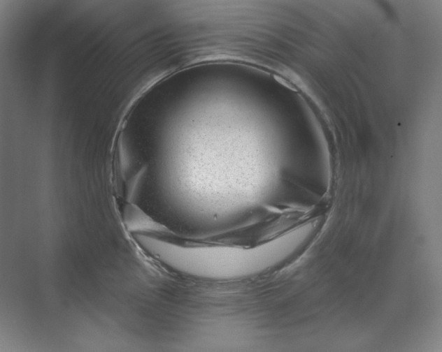 X0000070181145200606091500