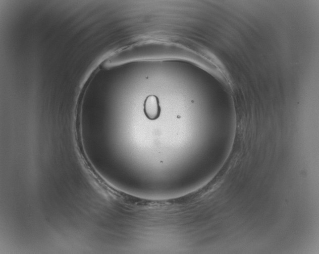 X0000070181146200606091500