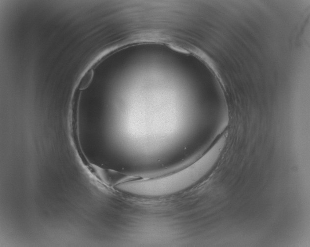 X0000070181147200606091500