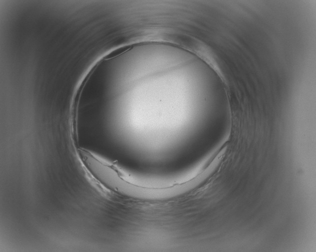 X0000070181148200606091500