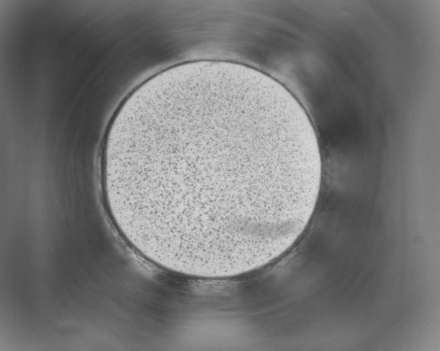 X0000070181150200606091500