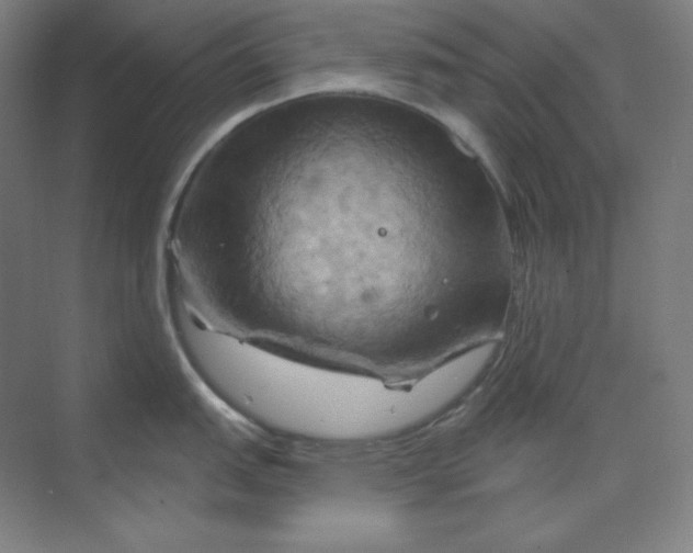 X0000070181151200606091500