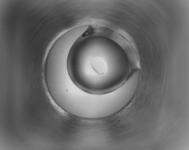 X0000070181152200606091500