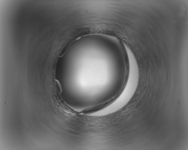 X0000070181153200606091459