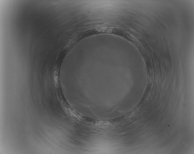 X0000070181154200606091459