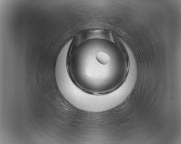 X0000070181155200606091459