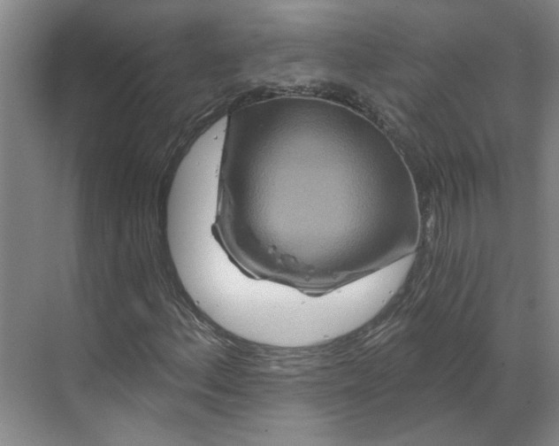 X0000070181156200606091459