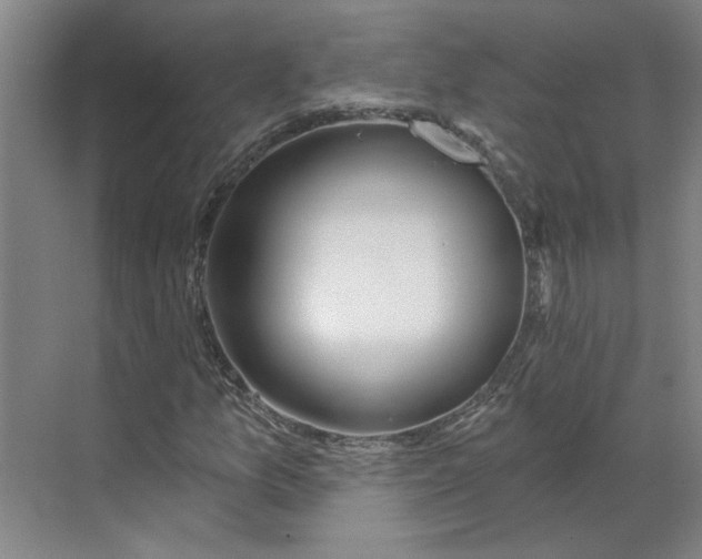 X0000070181157200606091459