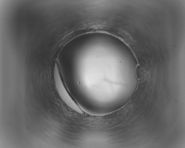 X0000070181158200606091459