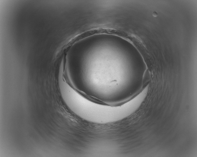 X0000070181159200606091459