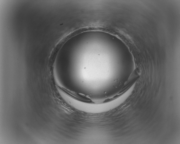 X0000070181160200606091459