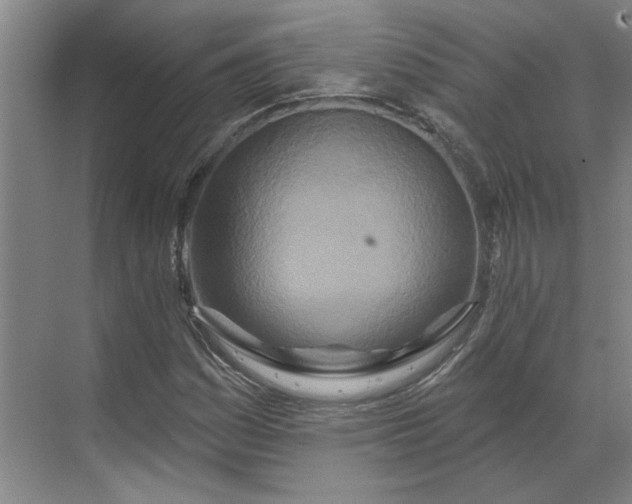 X0000070181161200606091459