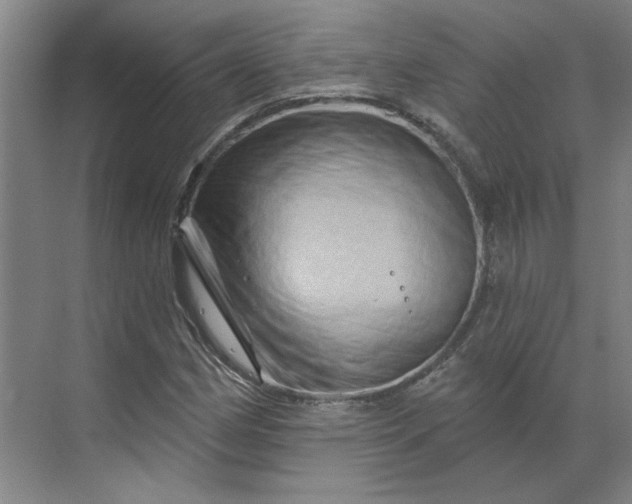 X0000070181162200606091459