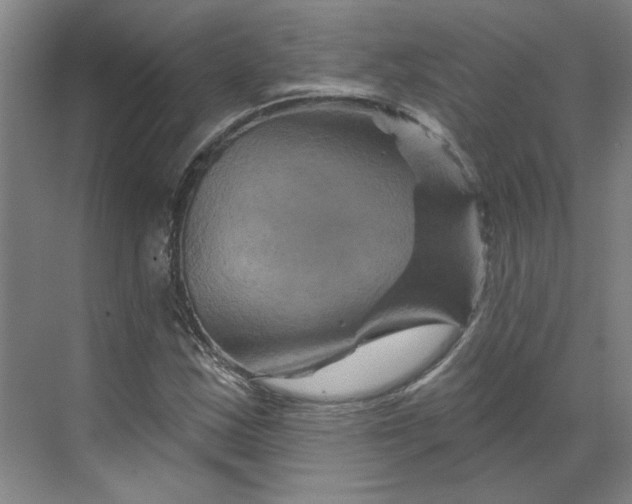 X0000070181163200606091459