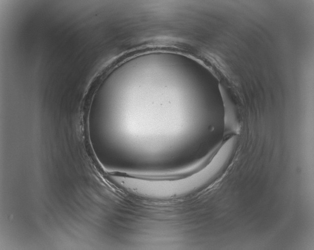 X0000070181164200606091459