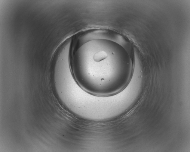 X0000070181165200606091459