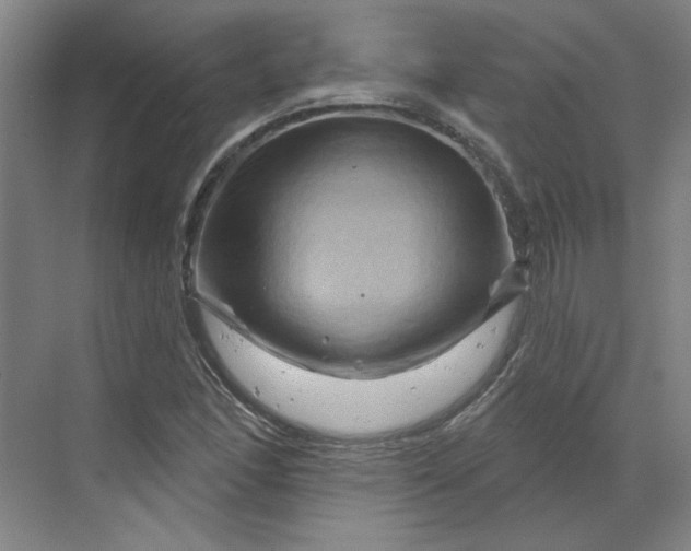 X0000070181166200606091459