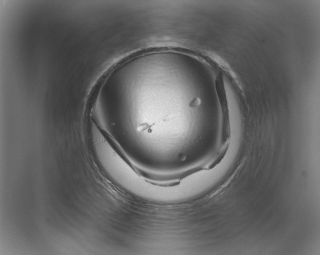 X0000070181167200606091459