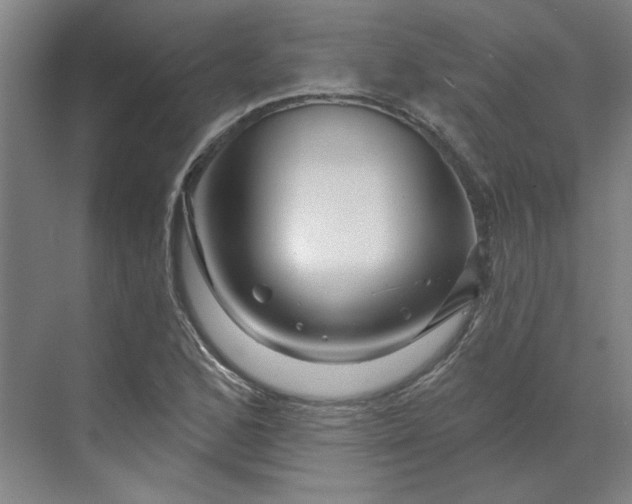 X0000070181168200606091459