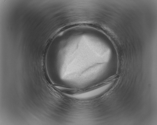 X0000070181169200606091459