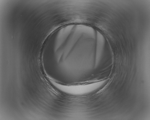 X0000070181170200606091459