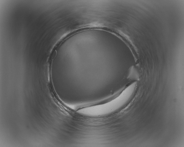 X0000070181171200606091459