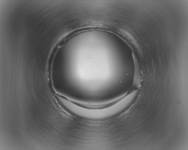 X0000070181172200606091459