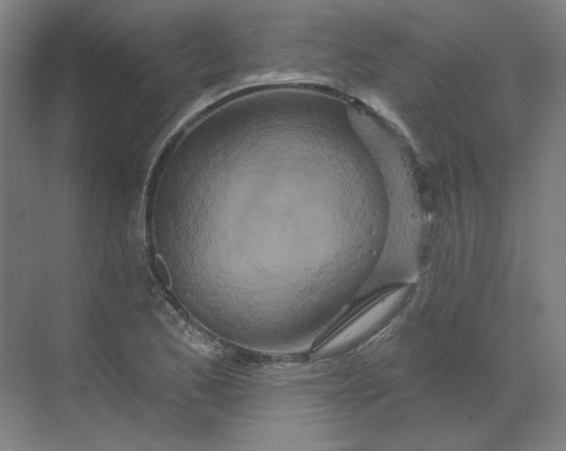 X0000070181173200606091459