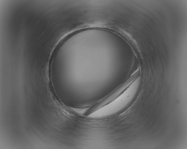 X0000070181174200606091459