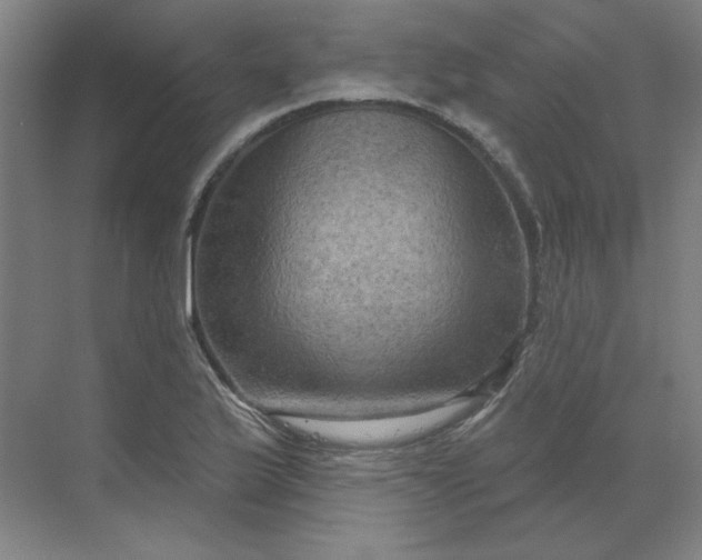 X0000070181175200606091459