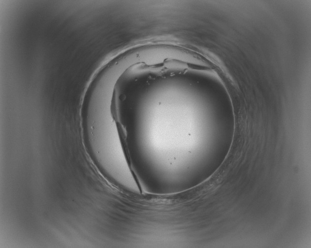 X0000070181176200606091459