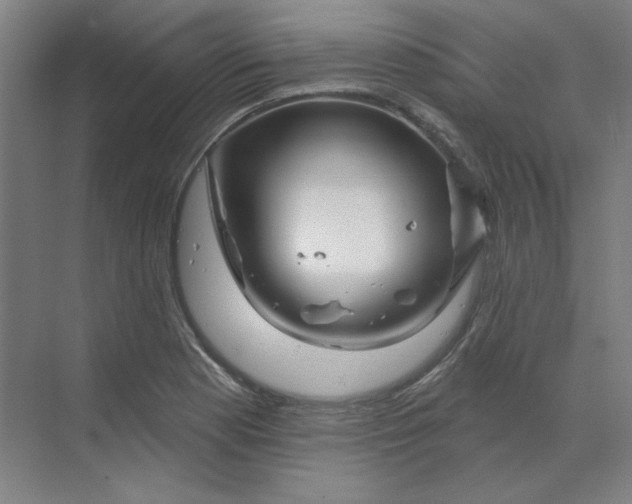 X0000070181177200606091459