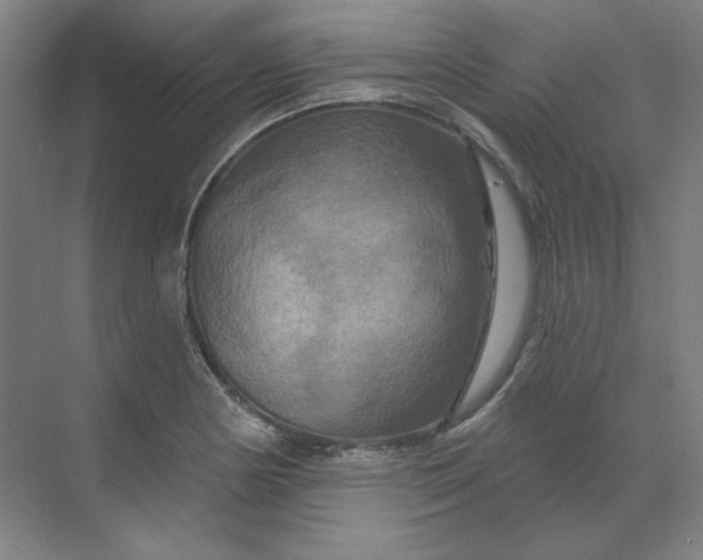 X0000070181178200606091459