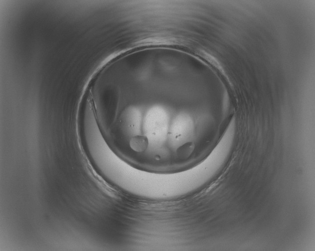 X0000070181179200606091459