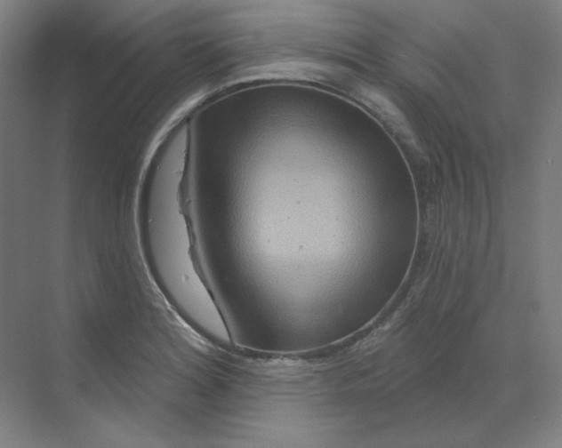 X0000070181180200606091459