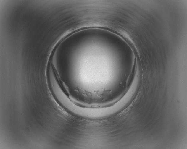 X0000070181181200606091459